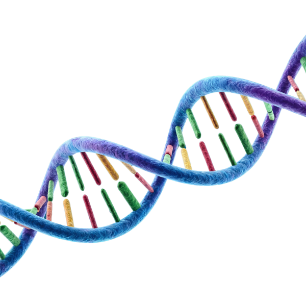 Colorful DNA double helix illustration